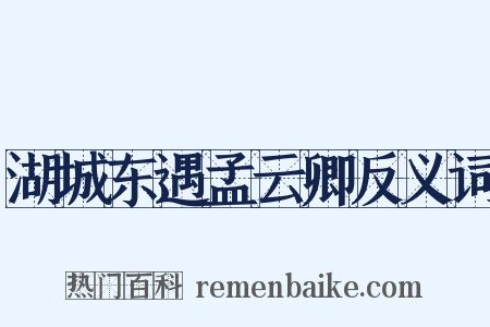 湖城东遇孟云卿反义词是什么意思的图片